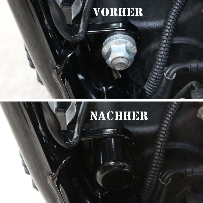 Motor holder screw cover - Loki