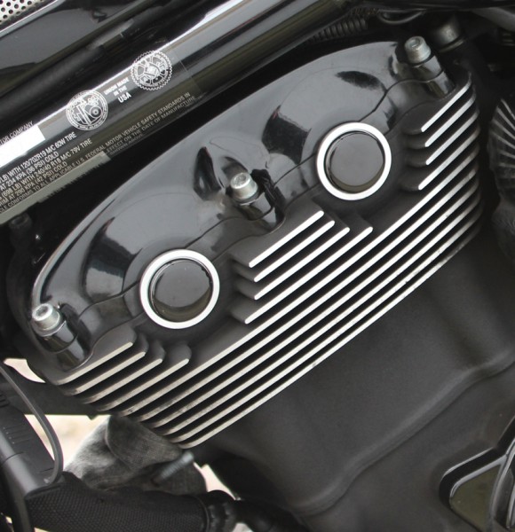 Leuchtschraube Kennzeichenbeleuchtung MINI Alu M8 Harley Davidson Dyna V-Rod